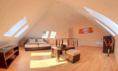 Complex Kamelia - 16