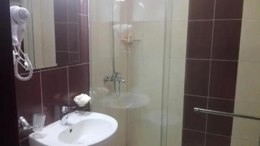 Complex Kamelia - 58