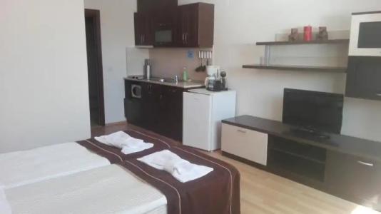 Complex Kamelia - 57