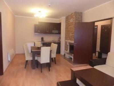 Complex Kamelia - 47