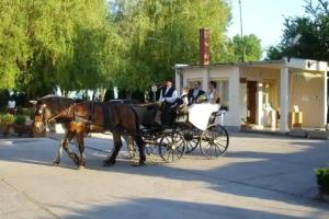 Nereus Park Hotel, Balatonalmadi