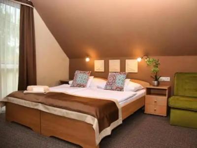 ALFA & Wellness Miskolctapolca - 3
