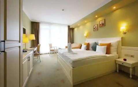 Calimbra Wellness Superior - 34