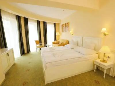 Calimbra Wellness Superior - 36