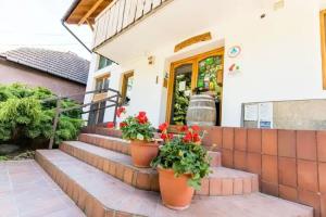 Öko-Park® Panzió- és Kalandpark Tourist base