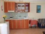 Apartment with garden view