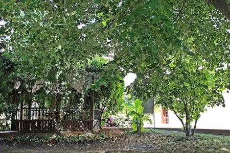 Duni Pelican - All Inclusive - 35