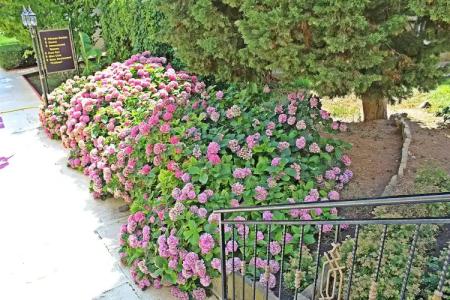 Duni Pelican - All Inclusive - 26