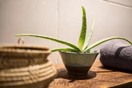 Babel Siem Reap Guesthouse - 41