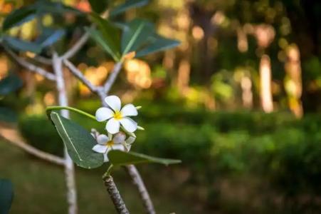 Good Time Sports Resort Koh Mak - 41