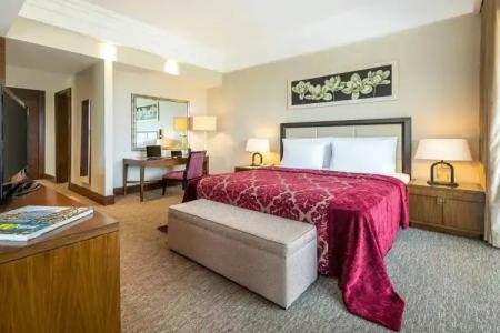 Çelik Palas Convention Center & Thermal SPA - 111