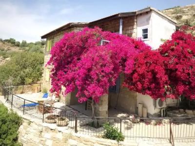 Cyprus Villages Agrotourism - 28