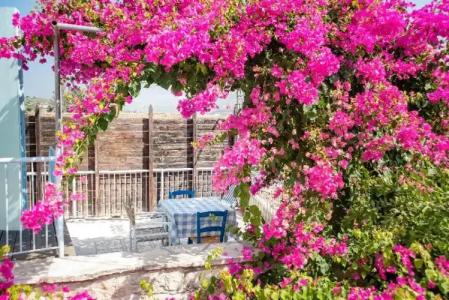 Cyprus Villages Agrotourism - 62