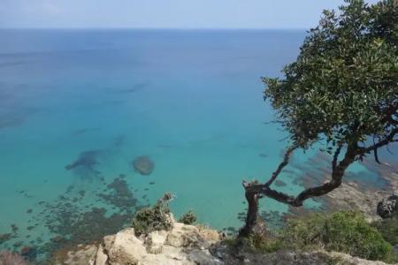 Cyprus Villages Agrotourism - 26