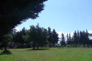 Affittacamere Villa Brazzano, Scalea