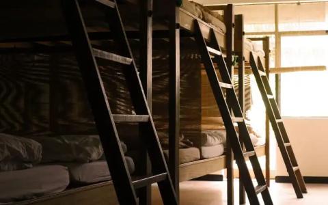 Born Free Hostel - 28