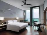 Standard Double room with balcony and with ocean view