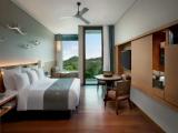 Deluxe Double room with balcony and with mountain view