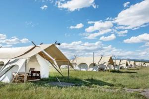 Under Canvas West Yellowstone, West Yellowstone