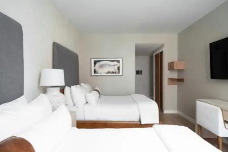 CODA Williamsburg - 42