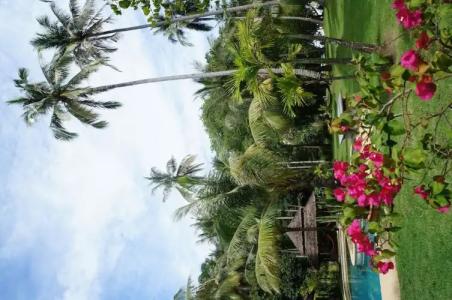 Koyao Bay Pavilions - SHA Extra Plus - 55