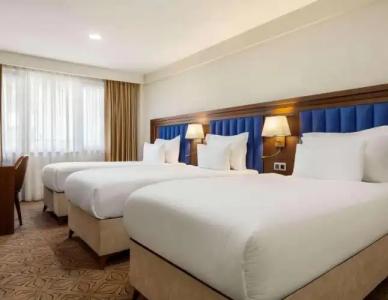 Ramada Plaza By Wyndham Istanbul Sultanahmet - 120