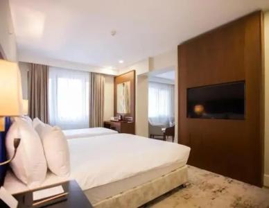 Ramada Plaza By Wyndham Istanbul Sultanahmet - 146