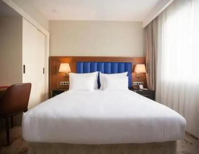 Ramada Plaza By Wyndham Istanbul Sultanahmet - 108
