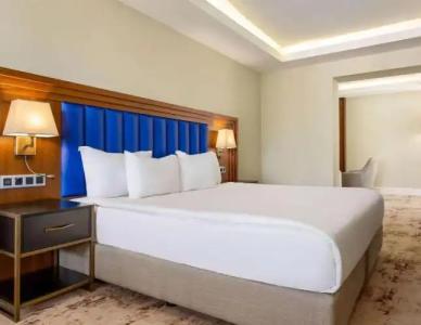 Ramada Plaza By Wyndham Istanbul Sultanahmet - 158
