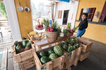 The Oia Pai Resort - 31