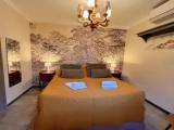 Standard Double room with garden view