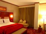 Executive Double Suite