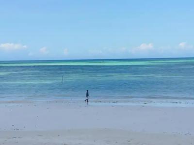 Uroa Bay Beach Resort - 10