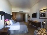 Double Junior Suite with city view