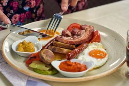 Tourist Resort Ribarsko Ostrvo - 10