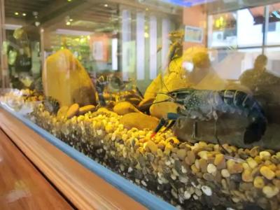 Bourbon St. Boutique - 9