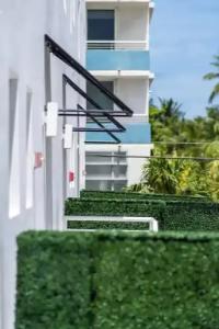 Blanc Kara- Adults Only - 35