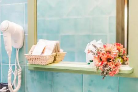 Albergo Residenziale Gli Ontani - 38