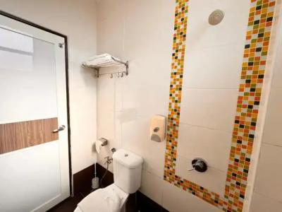 Sunflower Malacca - 6