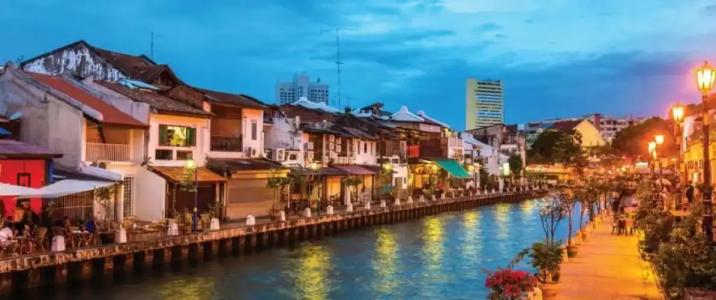 Sunflower Malacca - 1