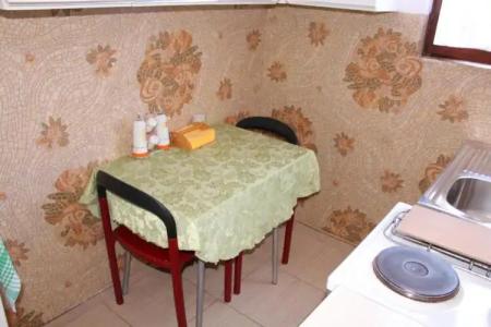 Guest House Tomanovic - 48