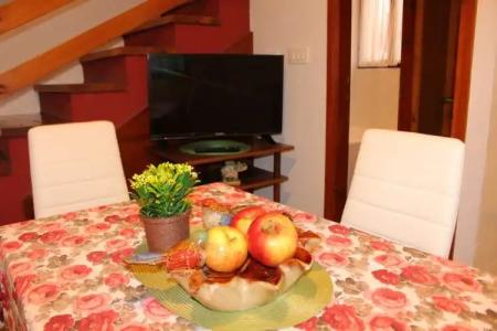 Guest House Tomanovic - 124