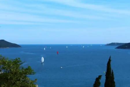 Guest House Tomanovic - 56