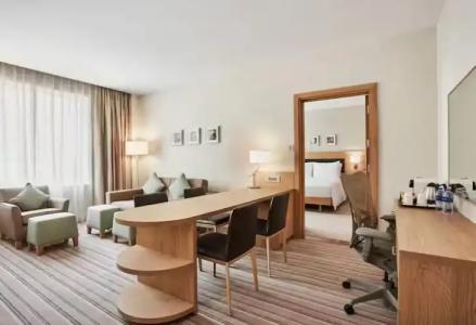 Hilton Garden Inn Dubai Mall Of The Emirates - 107
