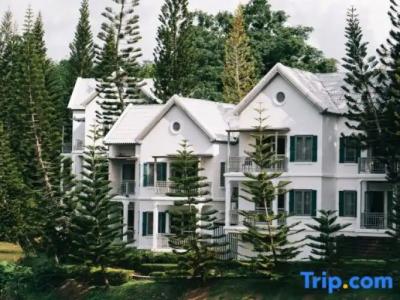 Brookside Valley Resort - 111