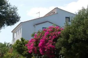 Elena Bungalows, Pythagorio