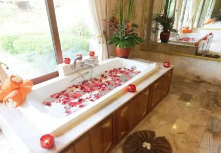 Viva Vacation Resort - 8