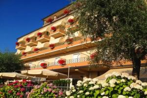 Hotel «Pace», Torri del Benaco
