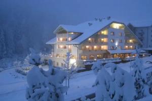 Hotel Erica, Tesero