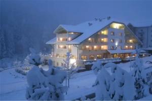 Hotel Erica, Tesero